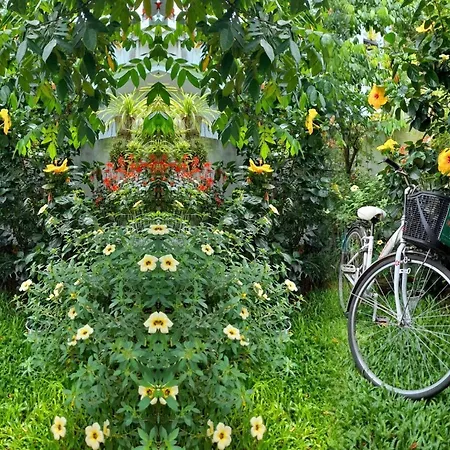 Appartement Star Garden Hoi An